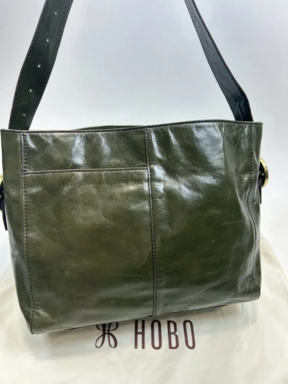 HOBO int render